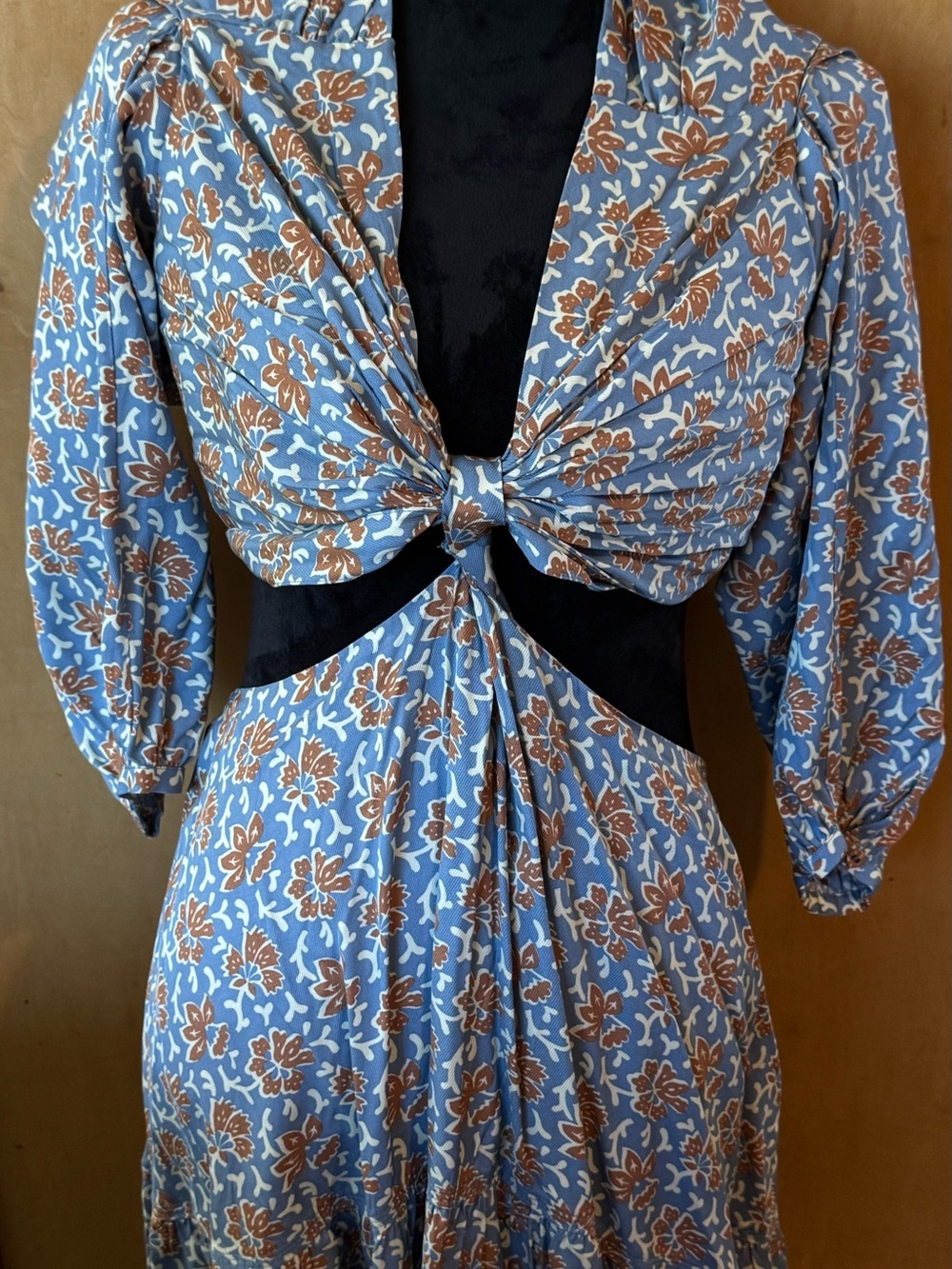 Joie Blue and Brown Floral Tie-Front Crop Top